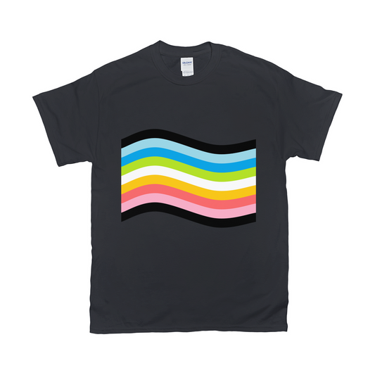 Orientation Pride Flag Relaxed Fit Tshirt - DARK | Choose Your Flag