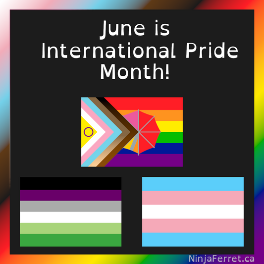 June is International Pride Month! ninjaferretart