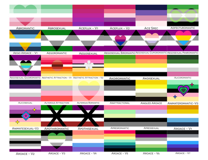 Choose Your Aroace Wall Flag | Single-Sided | 5 Sizes | Aromantic and Asexual Spectrum