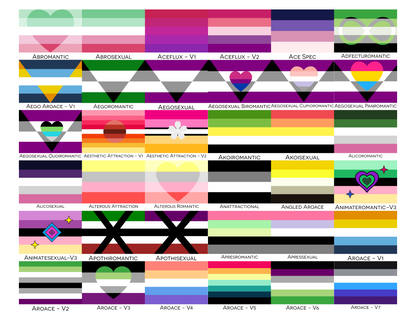 Aroace Spectrum Pride Indoor Mat | Choose Your Flag