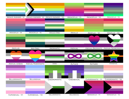 Aroace Spectrum Pride Indoor Mat | Choose Your Flag