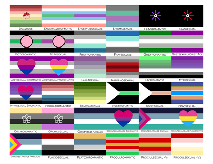 Aroace Spectrum Pride Hand/Desk Flags | Choose Your Flag | Double Sided