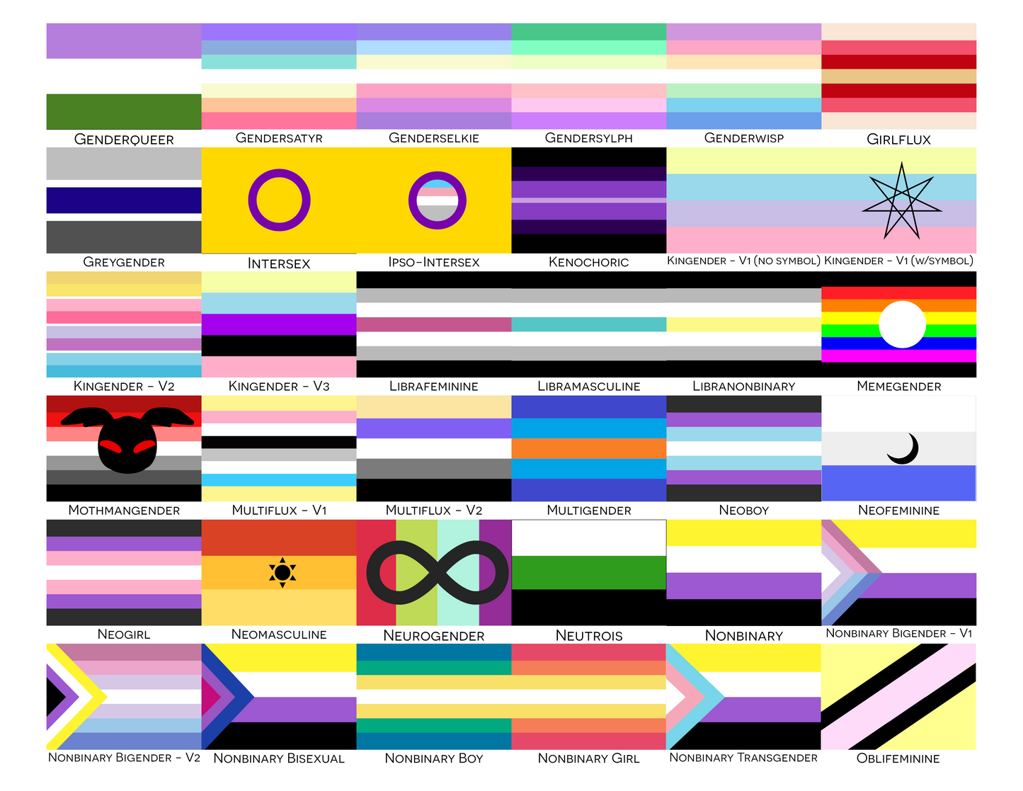 Banderas de mano/escritorio del orgullo de identidad y expresión de género | Elige tu bandera | Doble cara