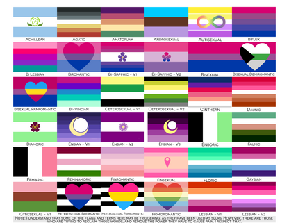 Orientation Pride Airbag Mobile Phone Holder | Choose Your Flag