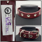 Maroon red collar with buckle. 12"-15"/30.48-38.1cm