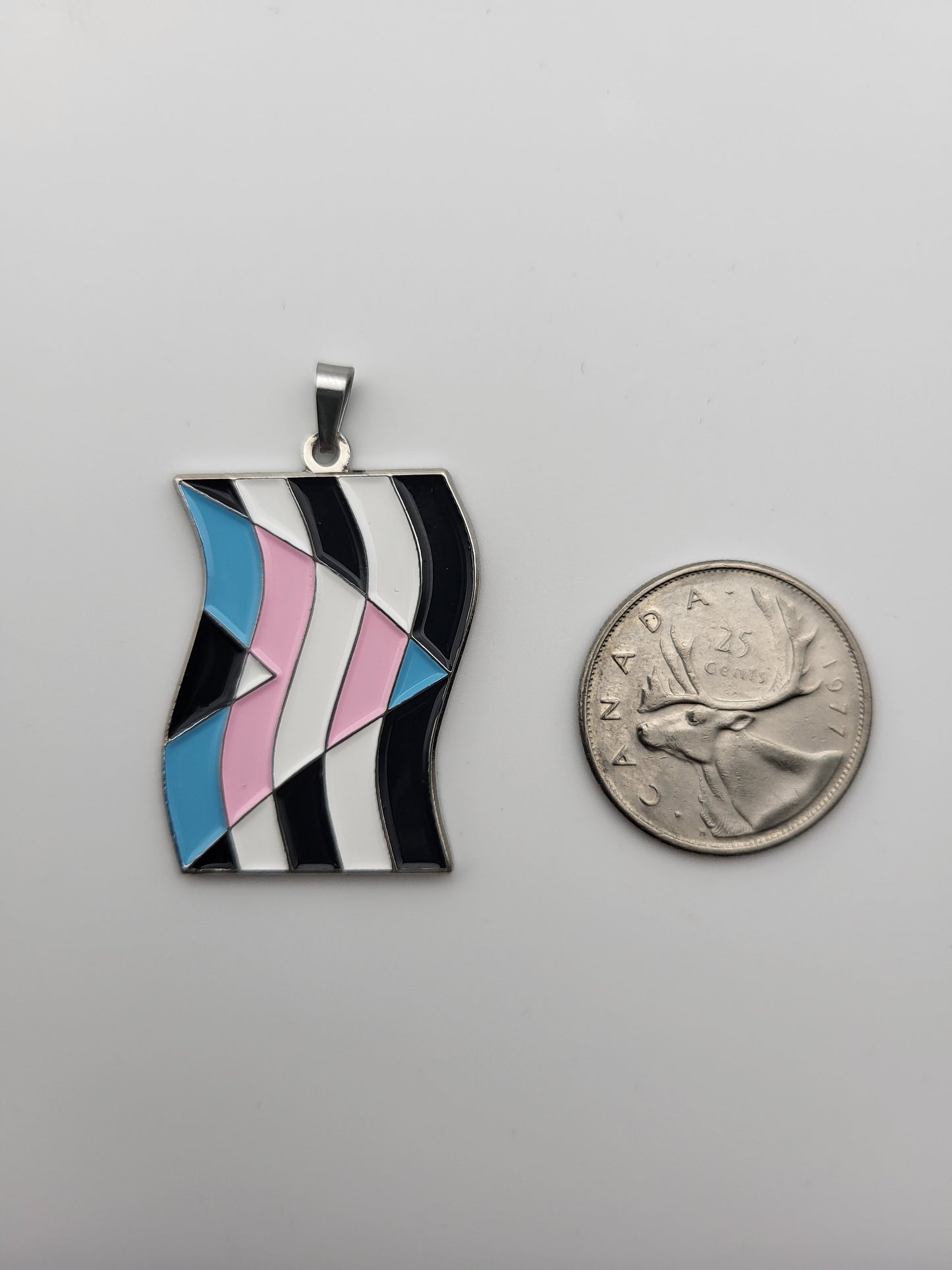 Ally Flag Enamel Pendant Necklace | Choose Rainbow or Transgender Flags