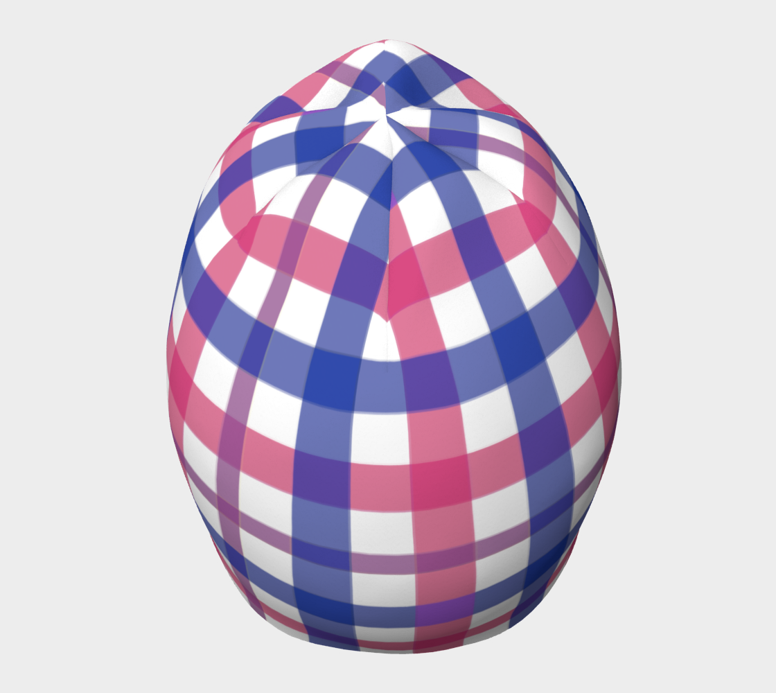 Bisexual Gingham Beanie