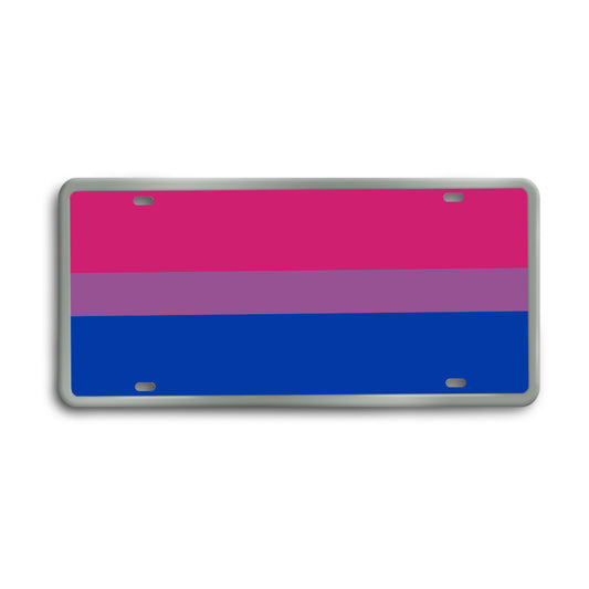Romantic and Sexual Orientation Pride Decorative License Plate | Choose Your Flag