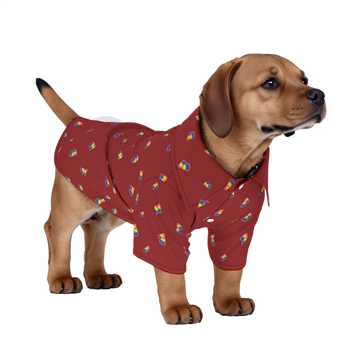 Camisa hawaiana estampada para mascotas | Elija su patrón y color de acento