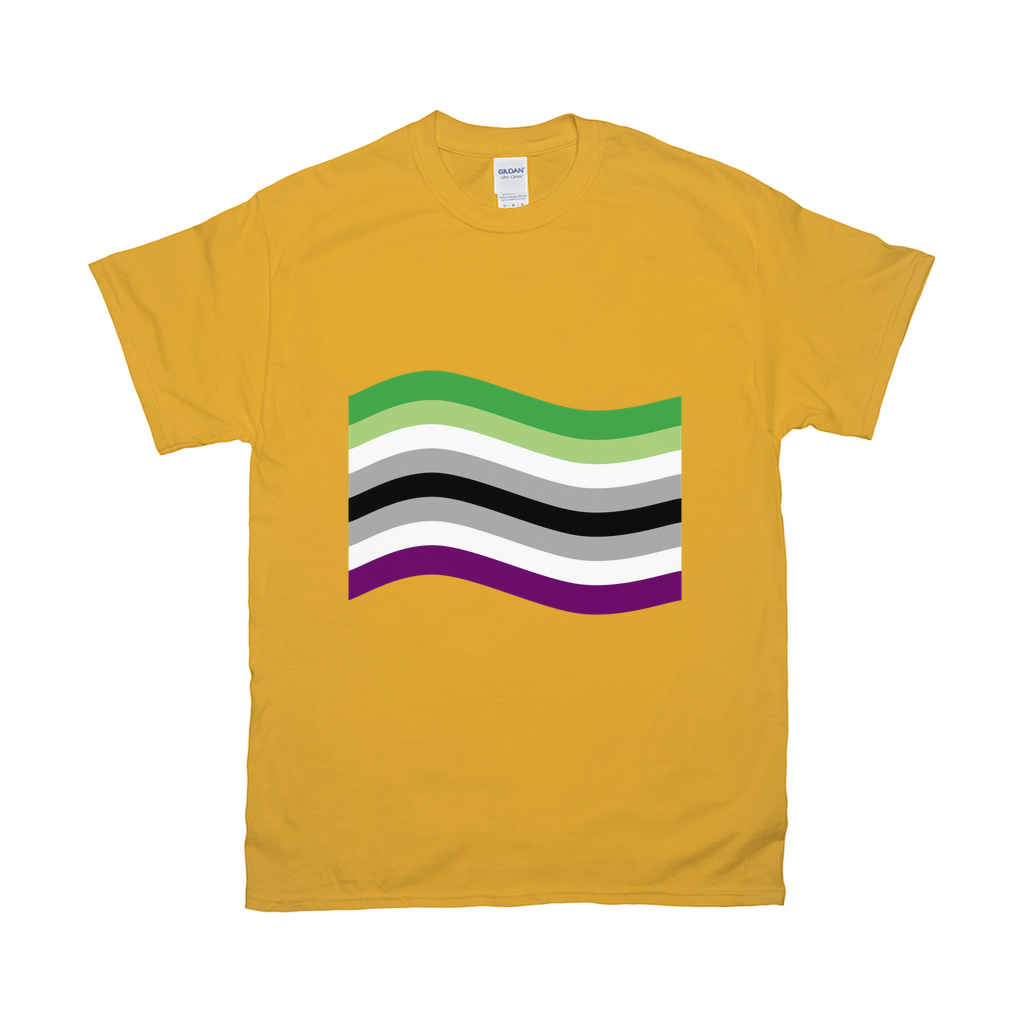 Aro Ace Pride Flag Relaxed Fit Tshirt - LIGHT | Choose Your Flag Apparel ninjaferretart