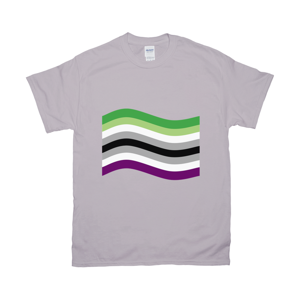 Aro Ace Pride Flag Relaxed Fit Tshirt - LIGHT | Choose Your Flag Apparel ninjaferretart