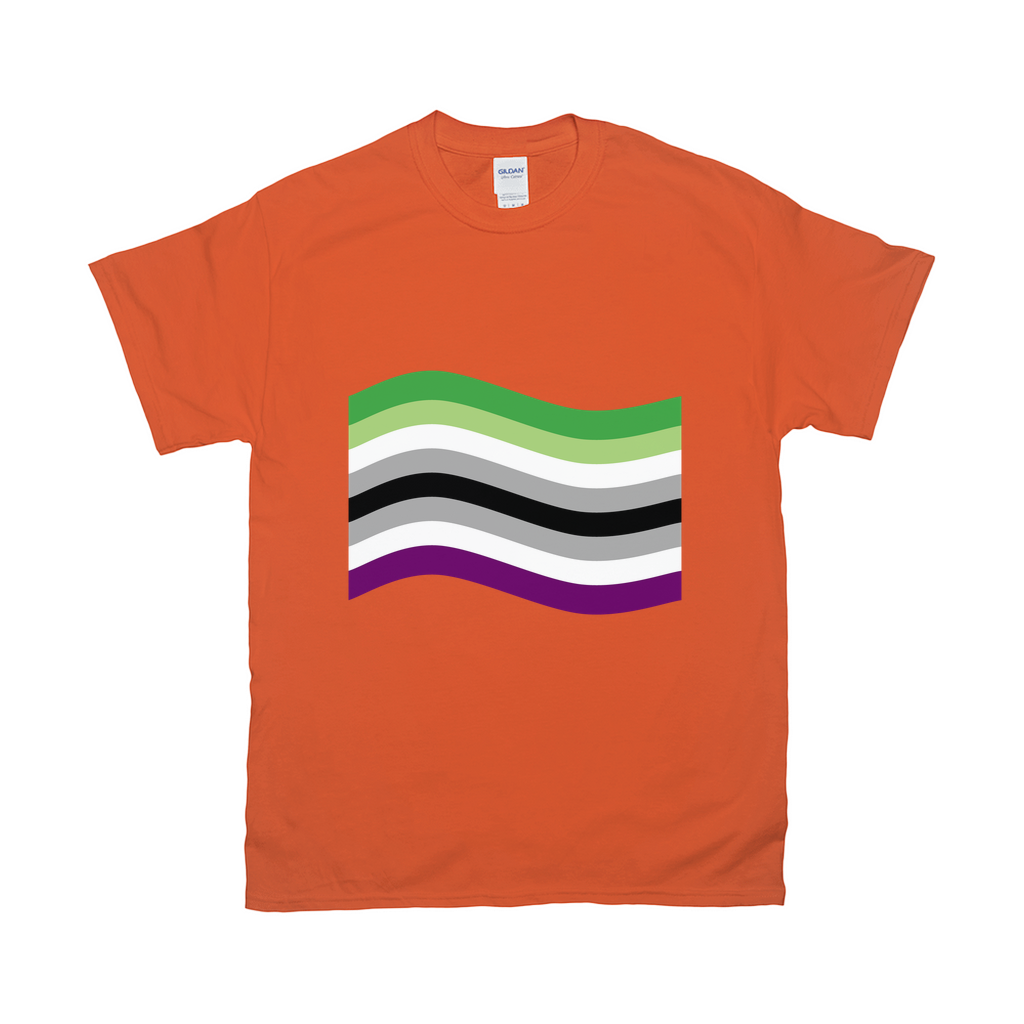 Aro Ace Pride Flag Relaxed Fit Tshirt - LIGHT | Choose Your Flag Apparel ninjaferretart