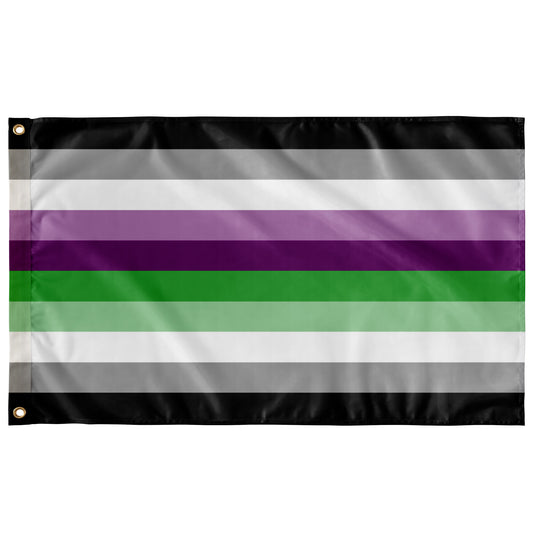 Aspec - V1 Wall Flag | 36x60" | Single-Reverse