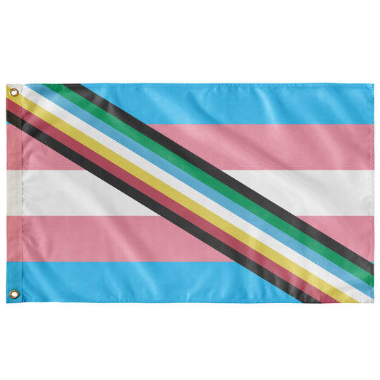 Disability - V2 - Transgender Wall Flag | 36x60" | Single-Reverse