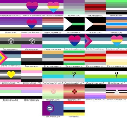 Choose Your Aroace Pride Flags  | Single Or Double-Sided | 2 Sizes