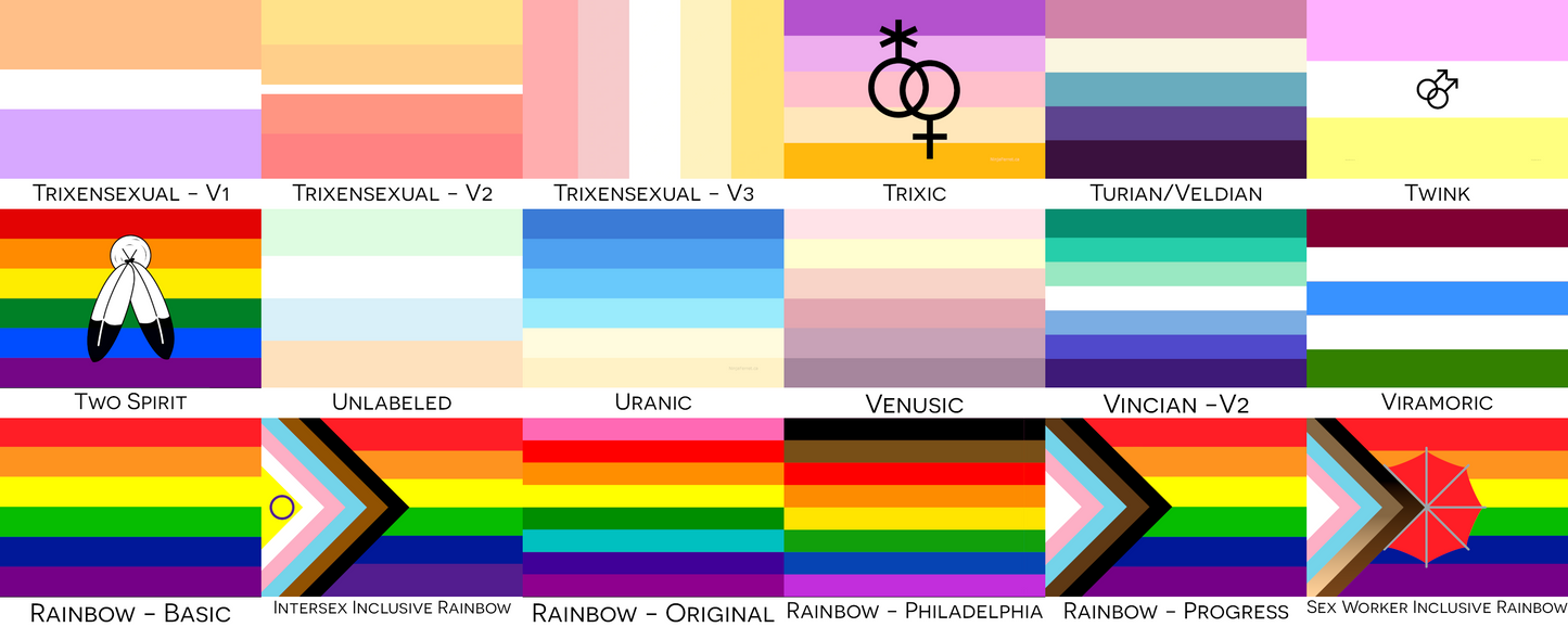 Choose Your Orientation Pride Flags  | Single Or Double-Sided | 2 Sizes - Romantic And Sexual Orientation